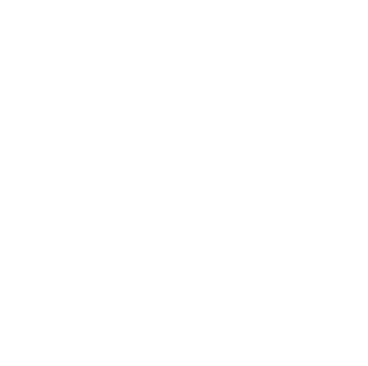 Foccus